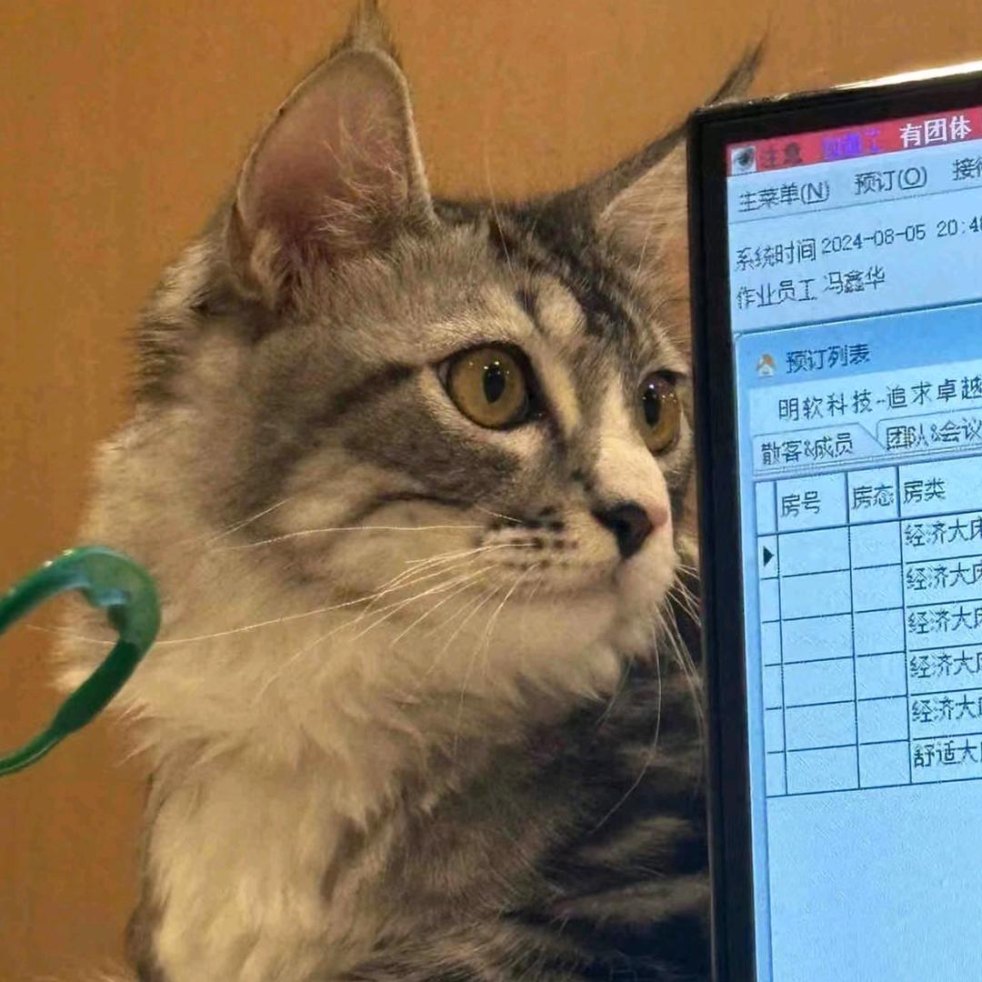 蘑菇蘑菇
