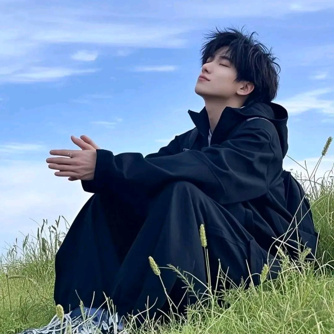 你与晚风皆过客