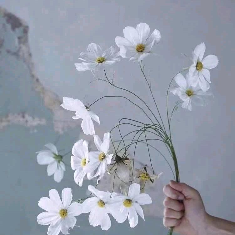 忘记过去