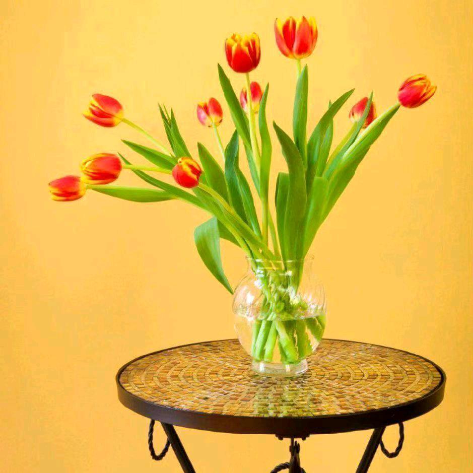 1314🌹🌹520🌹🌹🌹