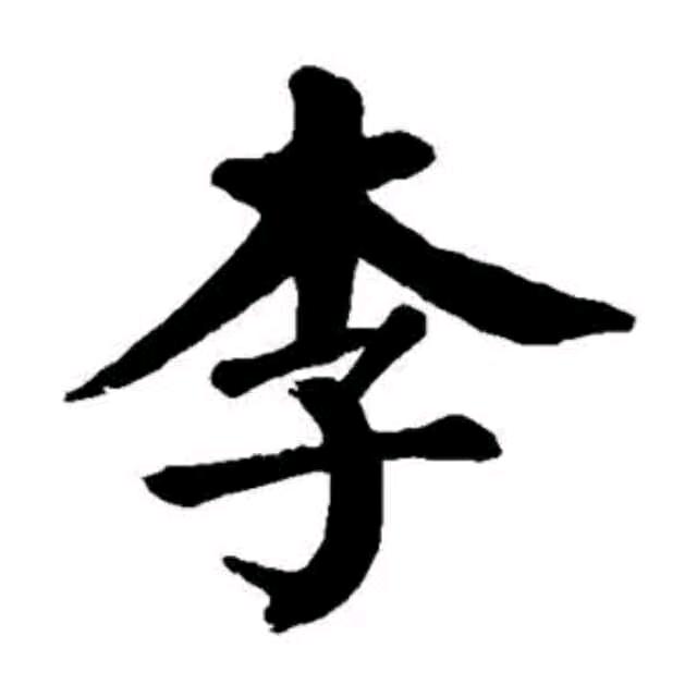 李文才