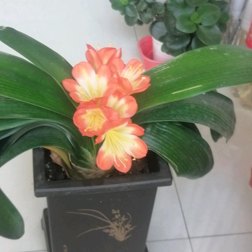 岁月静好