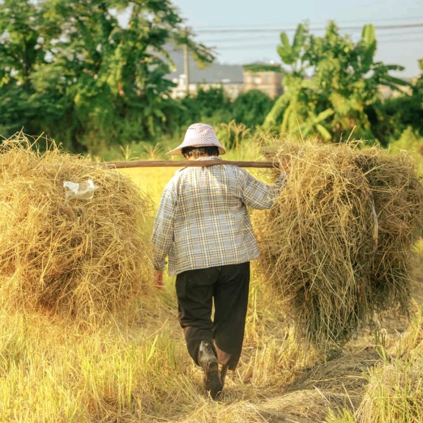 新农人小张（助农电商）