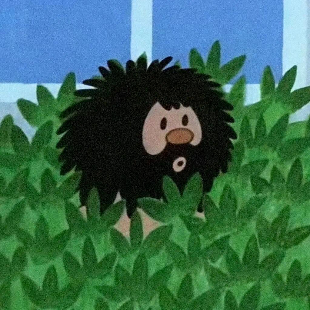 枉生