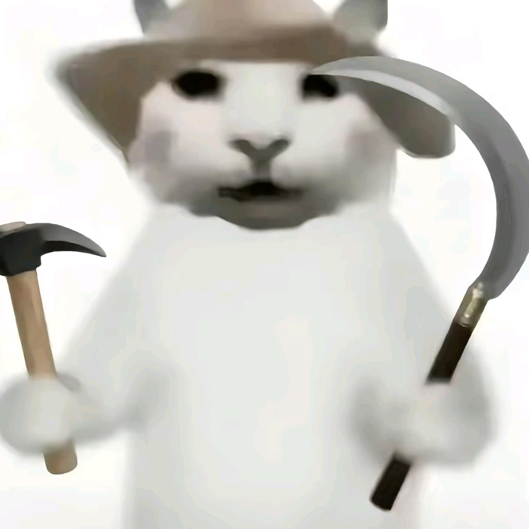 汉斯