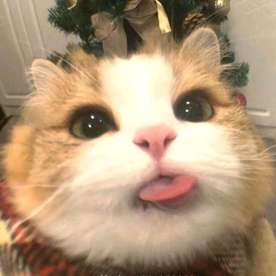 毛毛