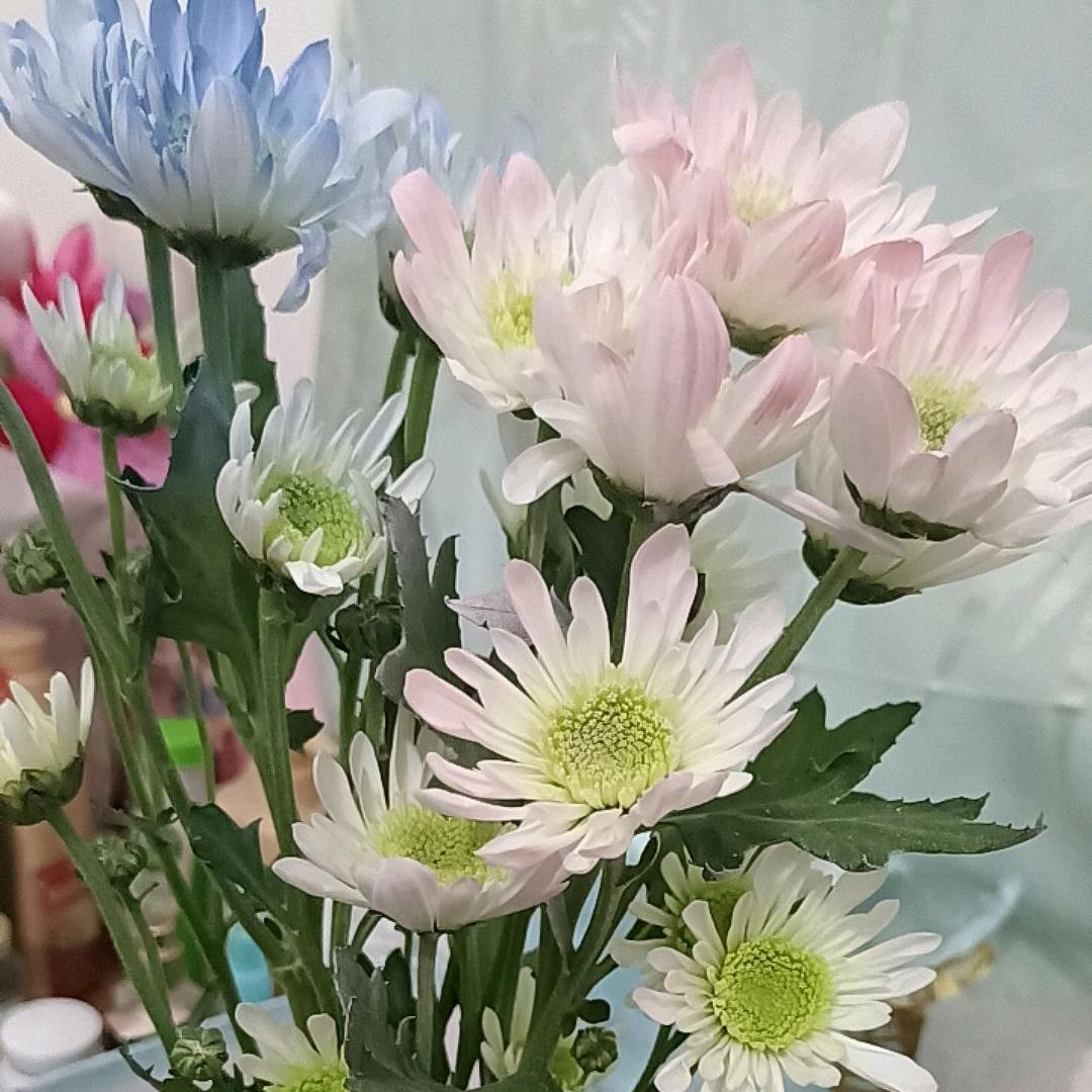 随遇✔♛♥而安