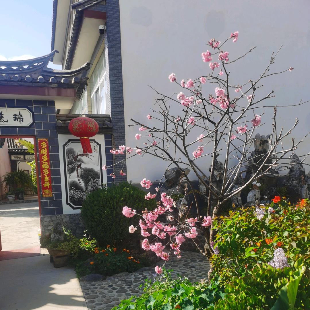 爱已充值，等待使用