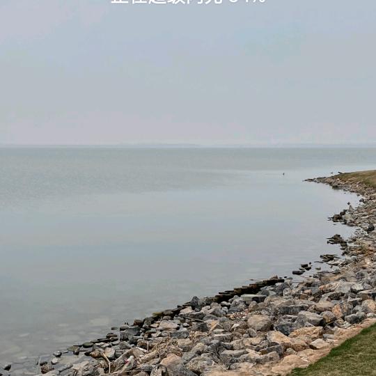 花开富贵🌹🌴🌸