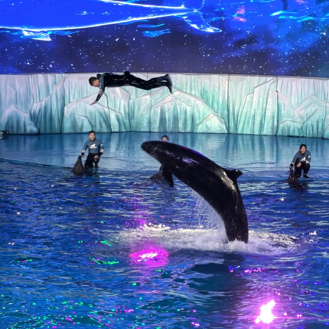 大爷挂墙也会硬