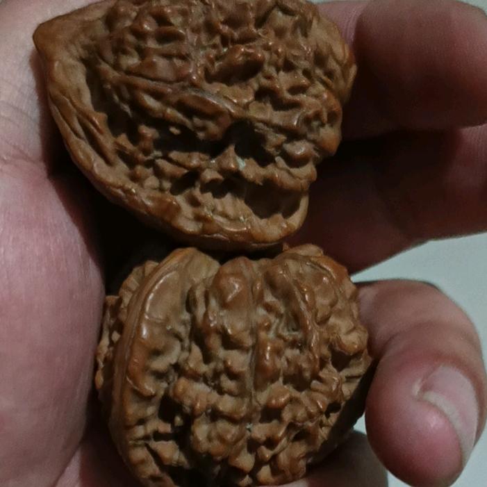 天高任鸟飞﹌