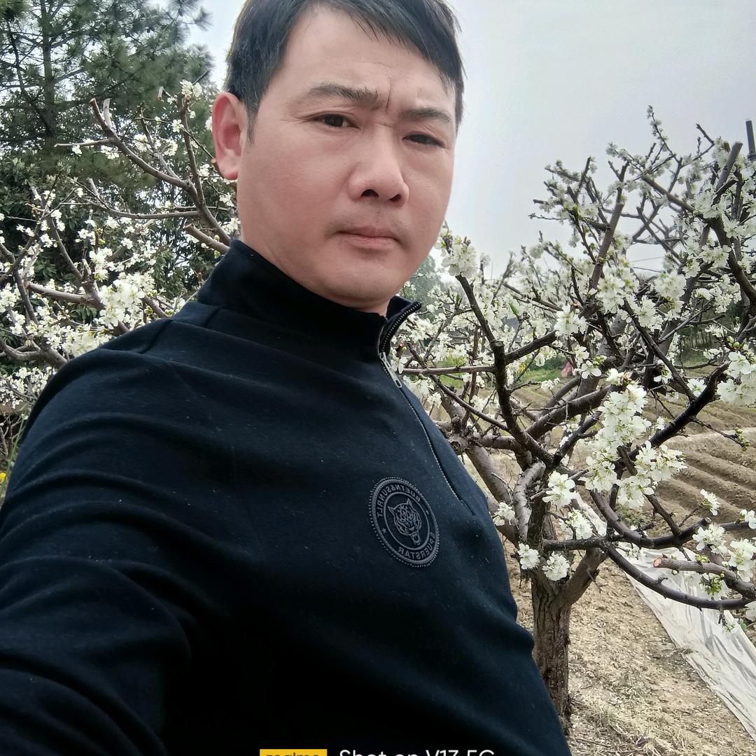 L，S，F，刘盛发