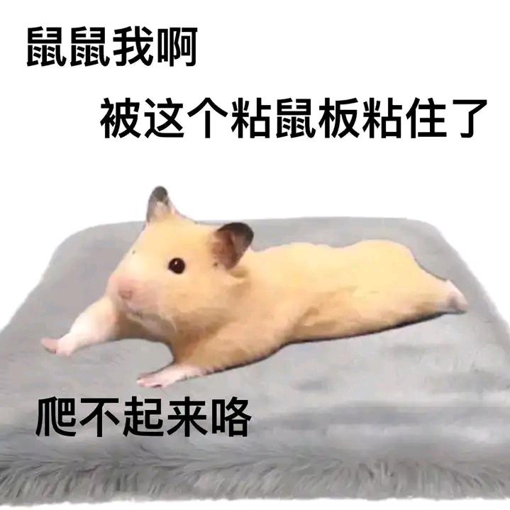 寐