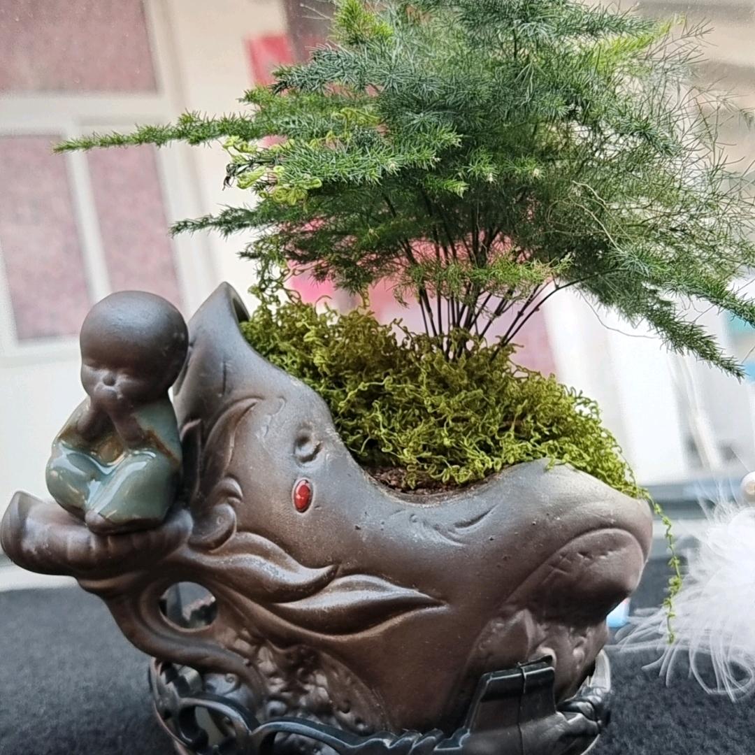 心为你停～刘～