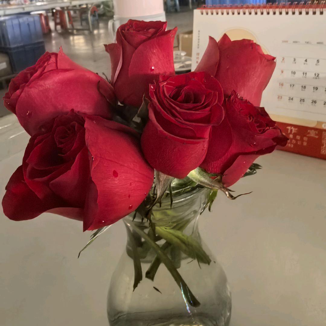 🌹平安是福🌹