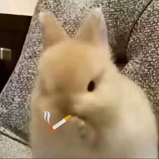 哥哥就是妻子啊