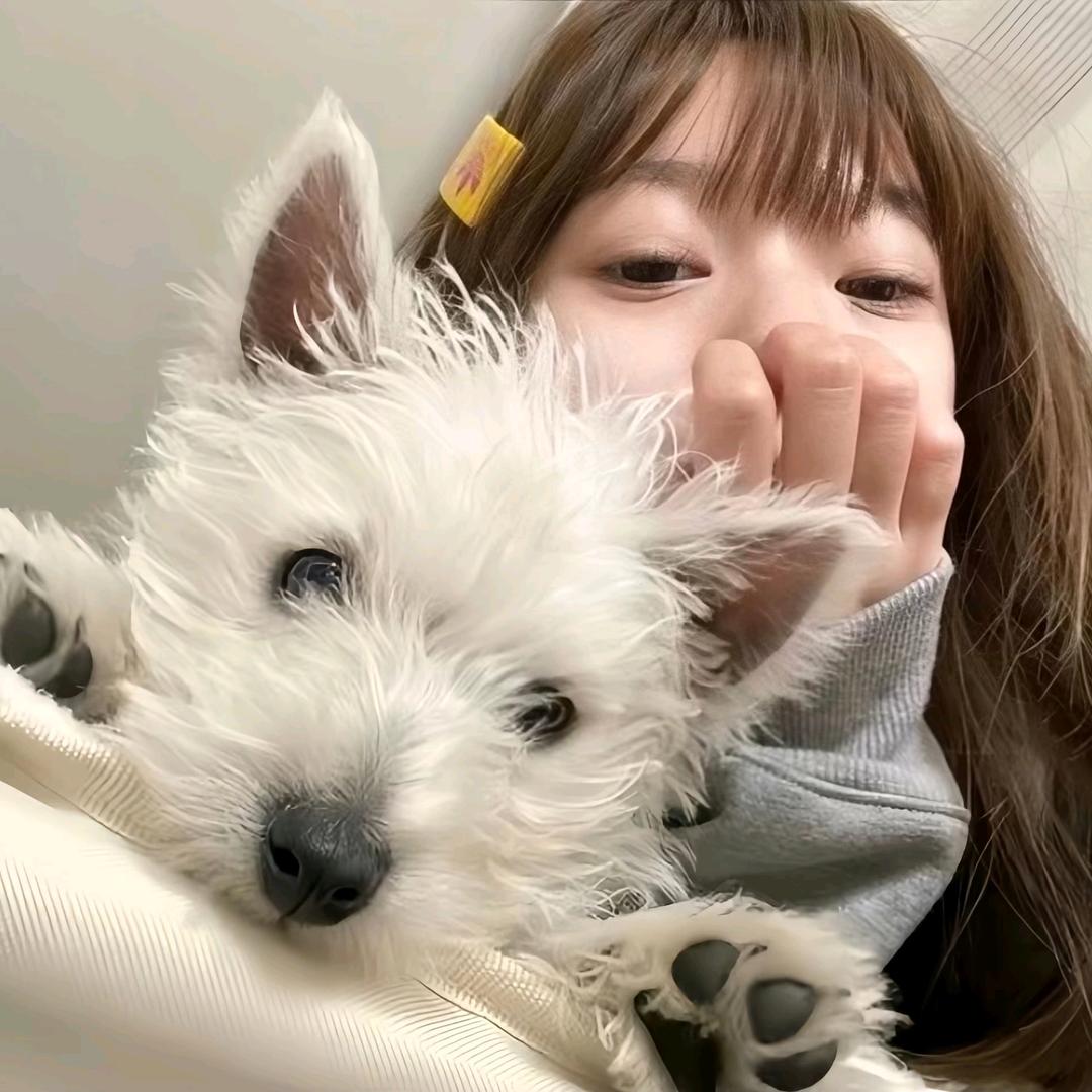 坏天气🐾头像
