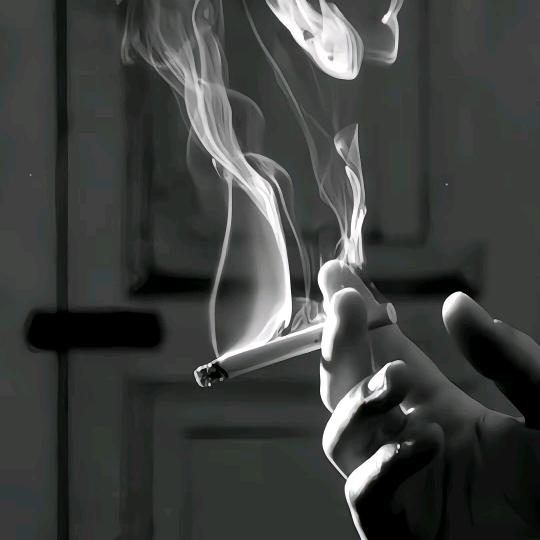 ＠海棠未眠