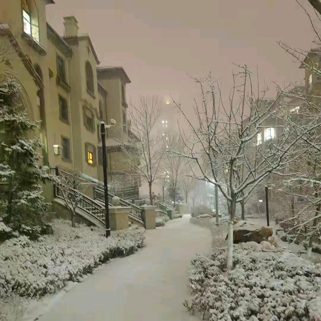 🧘‍♀️🍀雪雪🌟