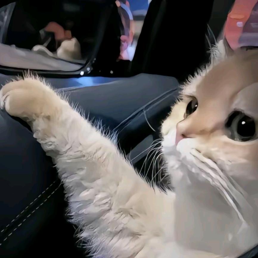 苏瑾