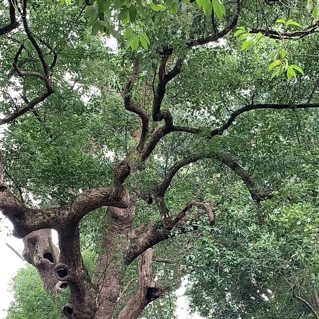 真实的力量