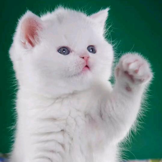 沉默《*^O^*》