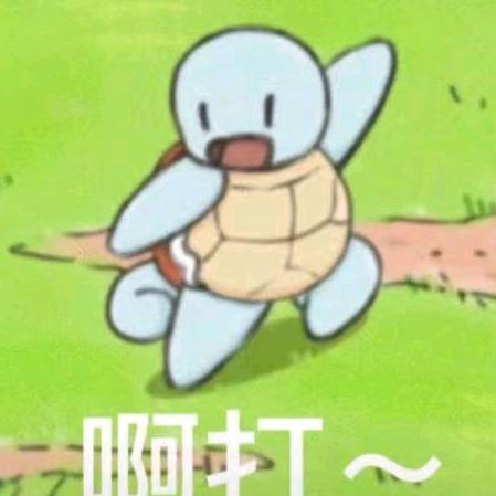 杰尼龟娱乐
