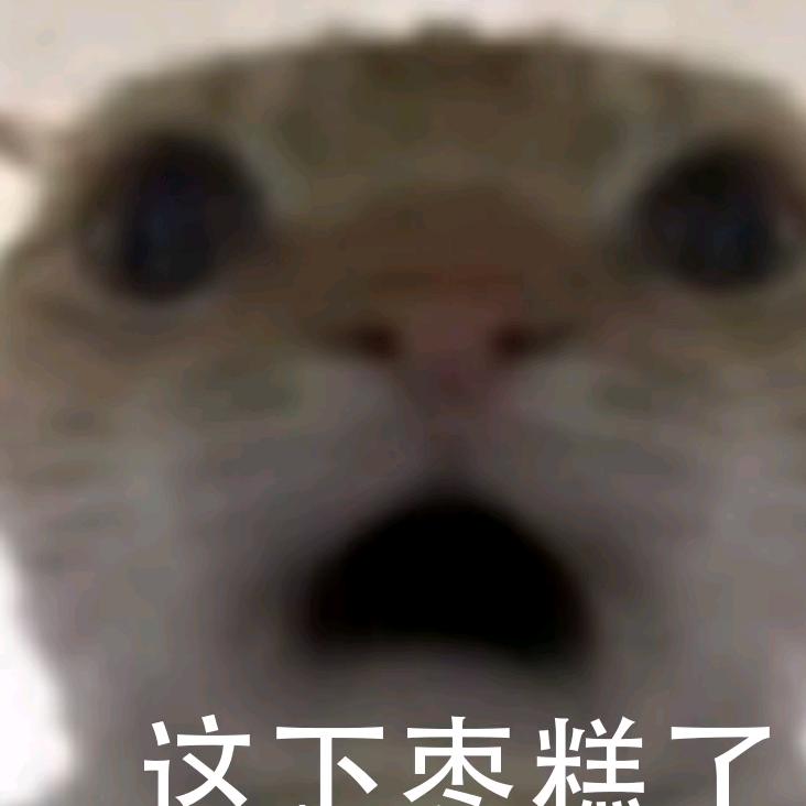 鼠鼠大帝