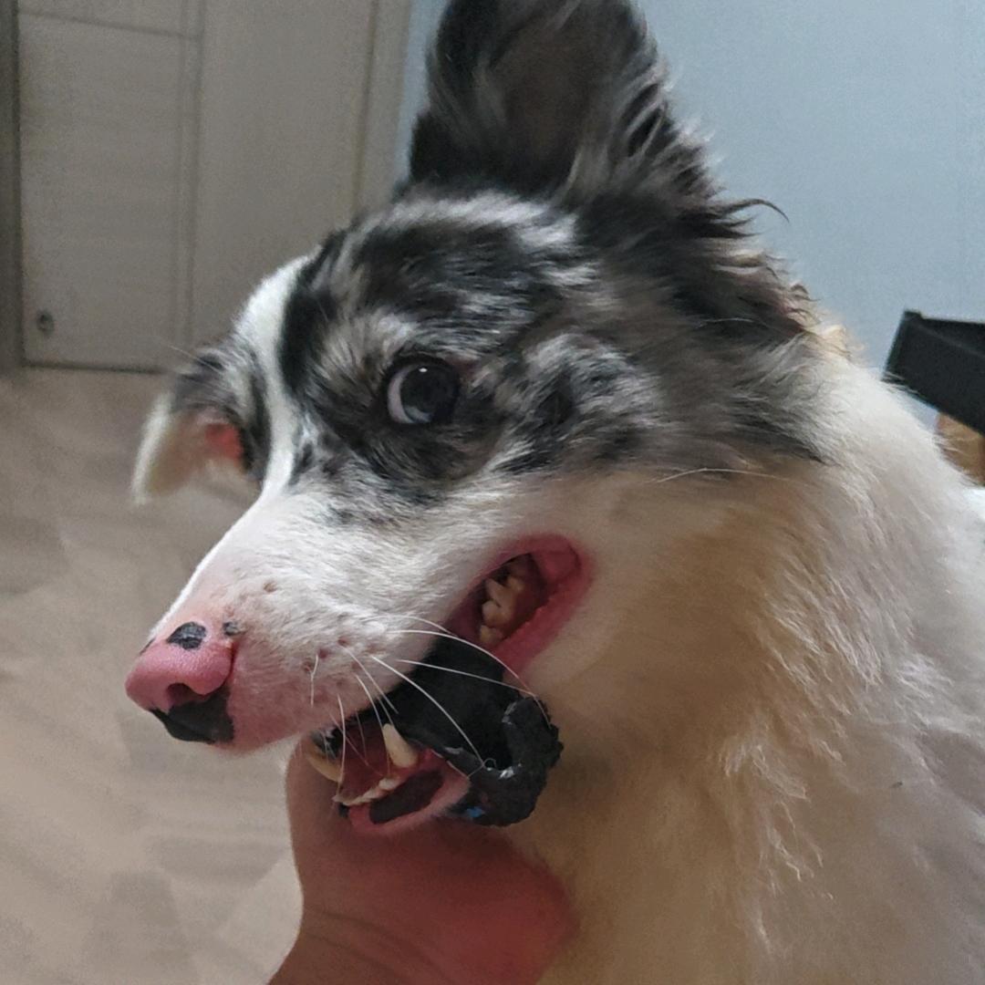 .辰