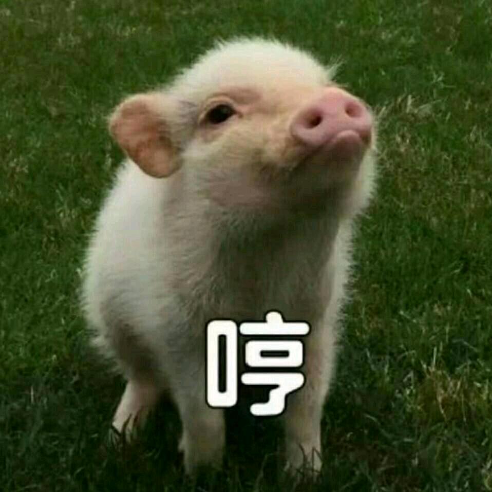 阿阳D-Joker