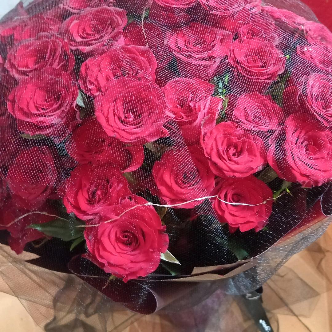 七安(ღ˘⌣˘ღ)