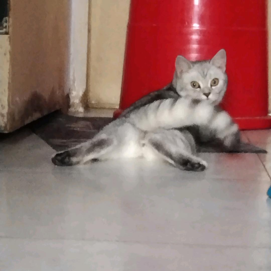 用户8328103173465