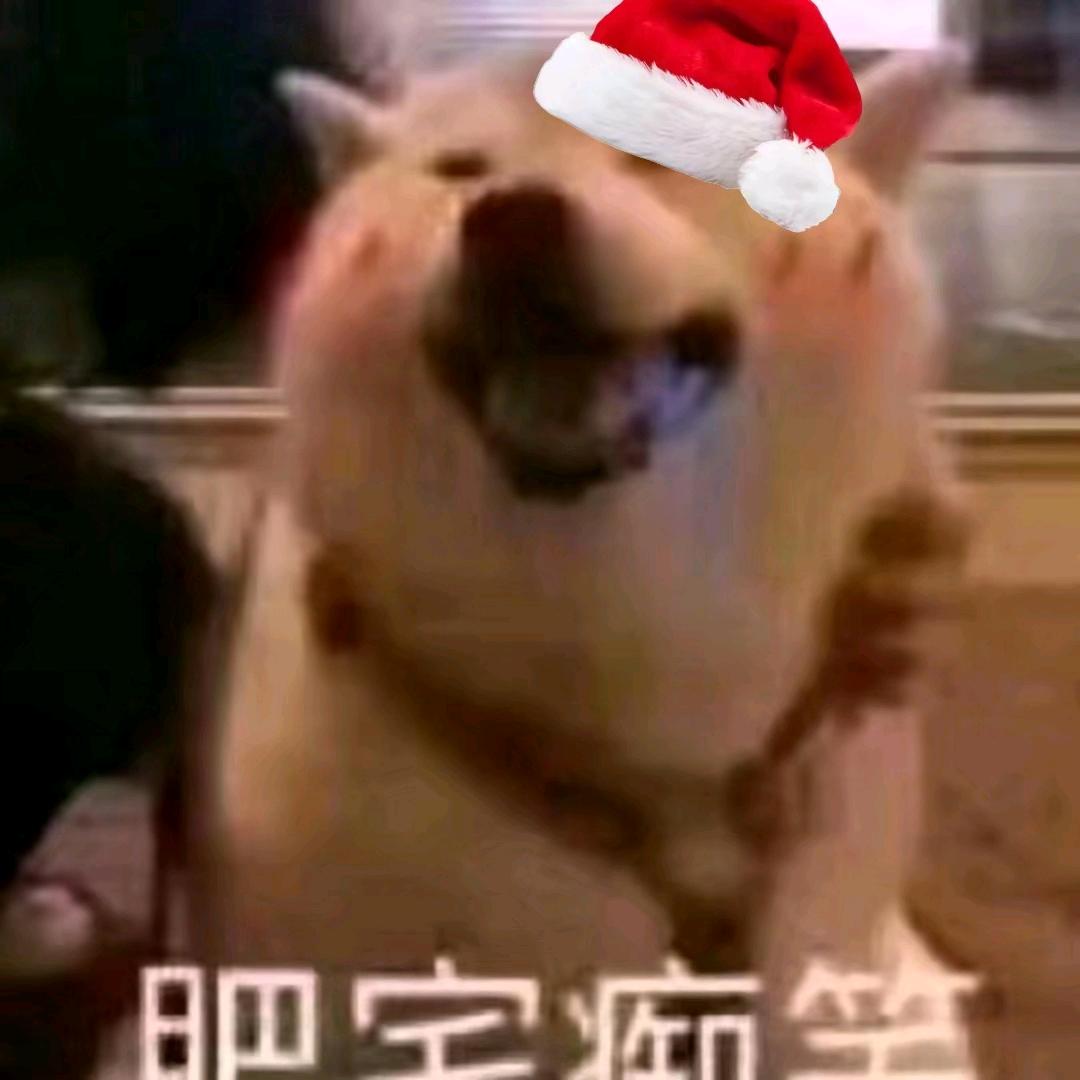 阿樱鸭🦆
