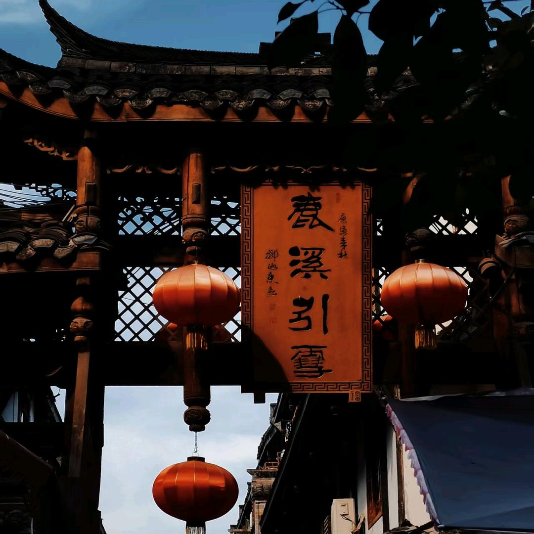 小邓不爱吃白菜