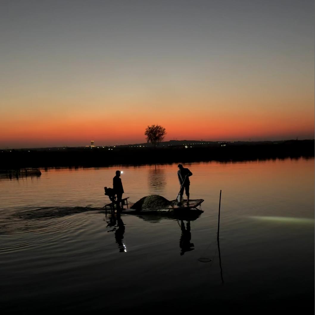 我的兄弟在海边