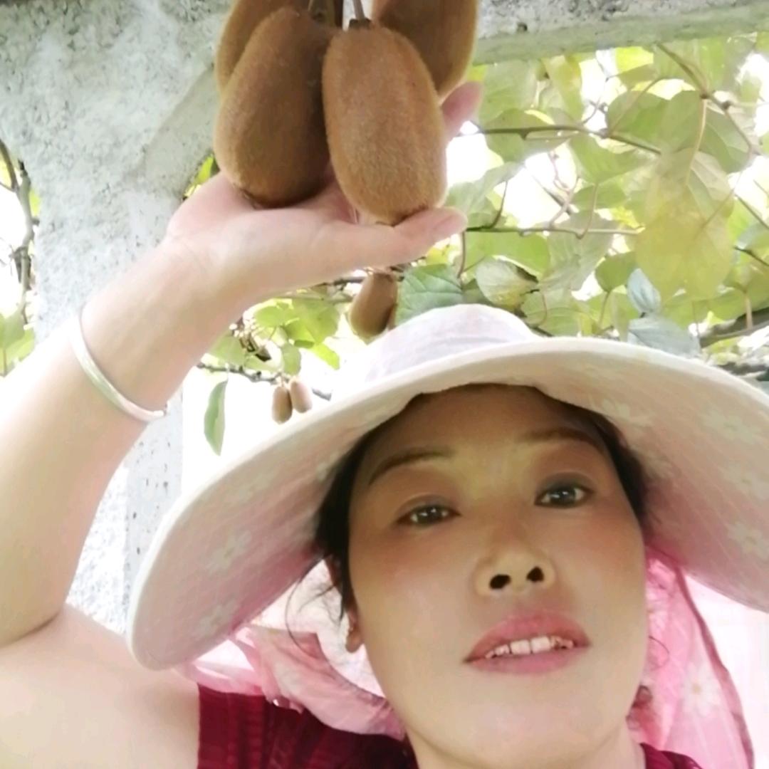 不到春天花不开