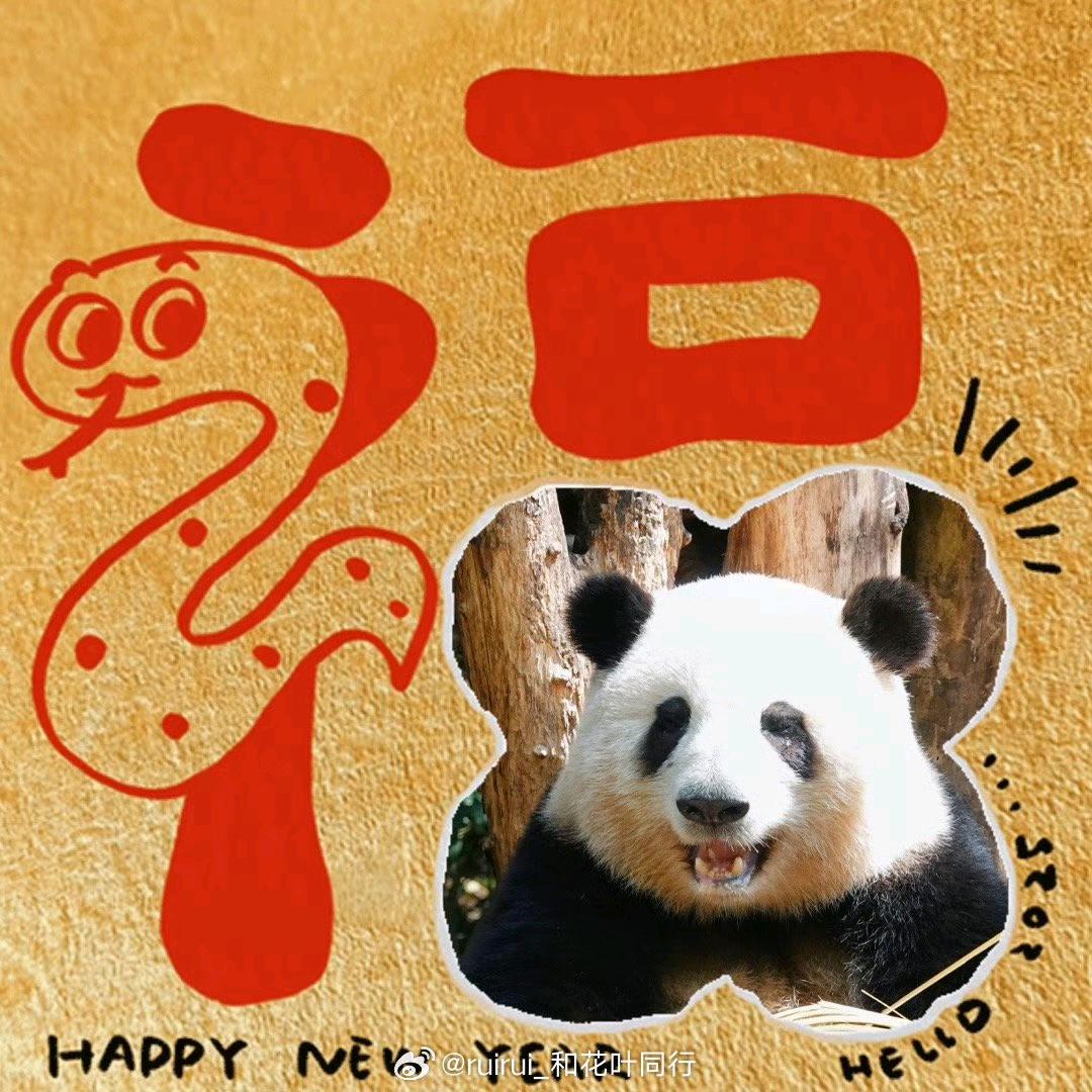 赠我弯弯一枚月