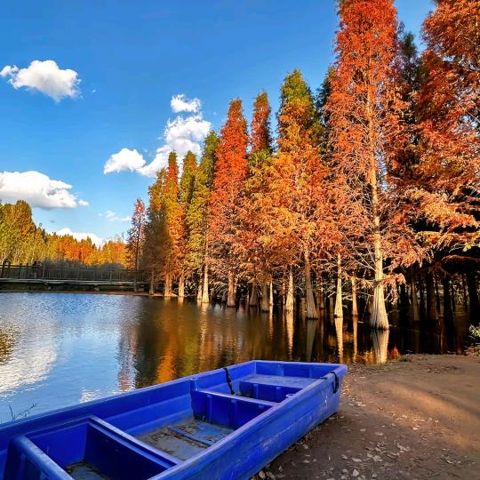 磊杨科技精品好货店