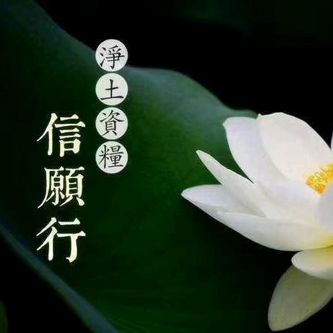 念佛是因，成佛是果。🪷 📿