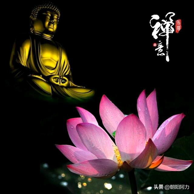 叶落秋风