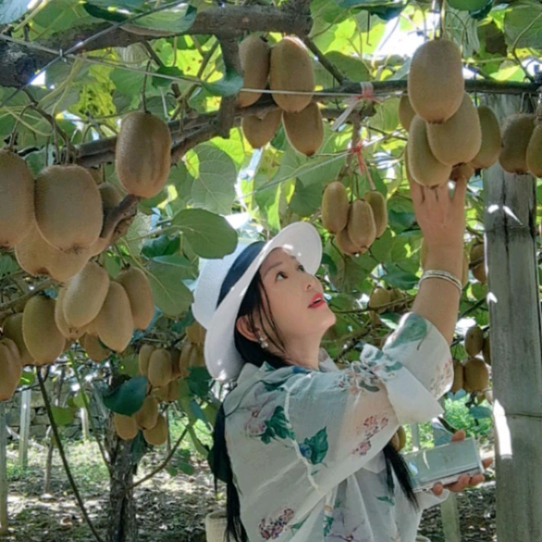 洋洋麻阳冰糖橙代收1346741041