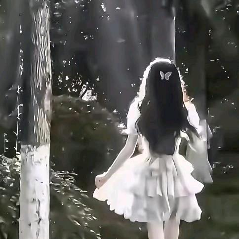 夜蝶