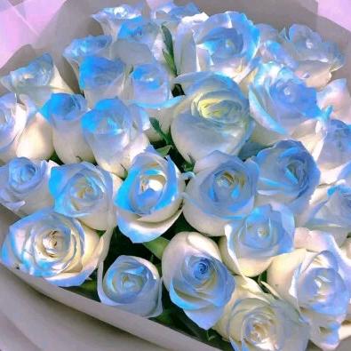 跳起来打你膝盖