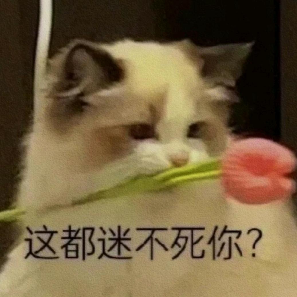 贾心小饼干🍪头像