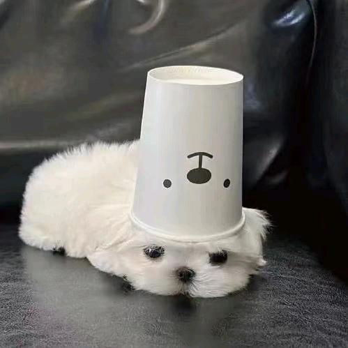 for