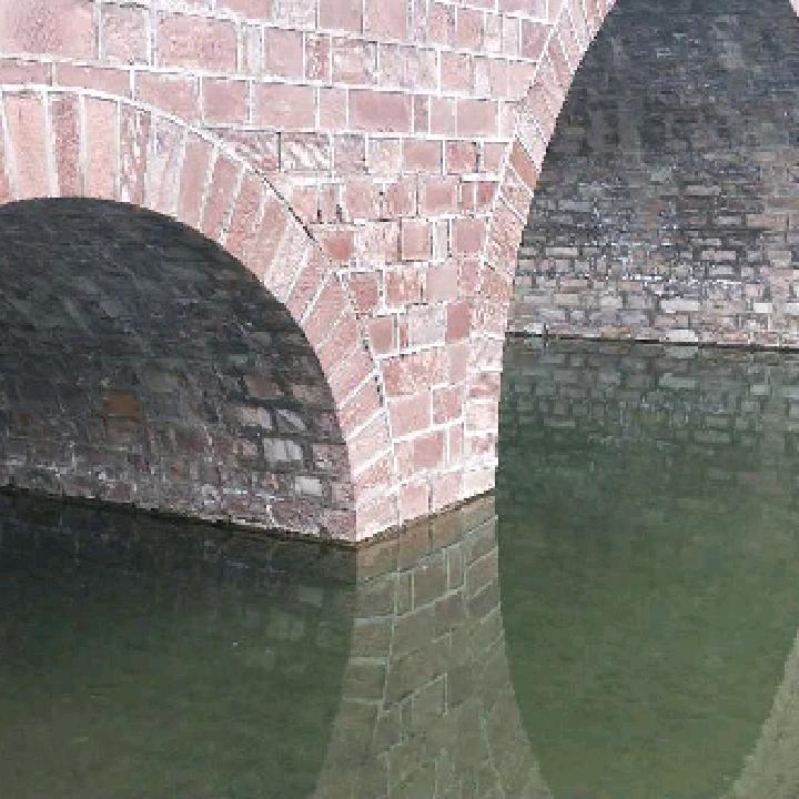 龙哥