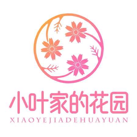 小叶家的花园