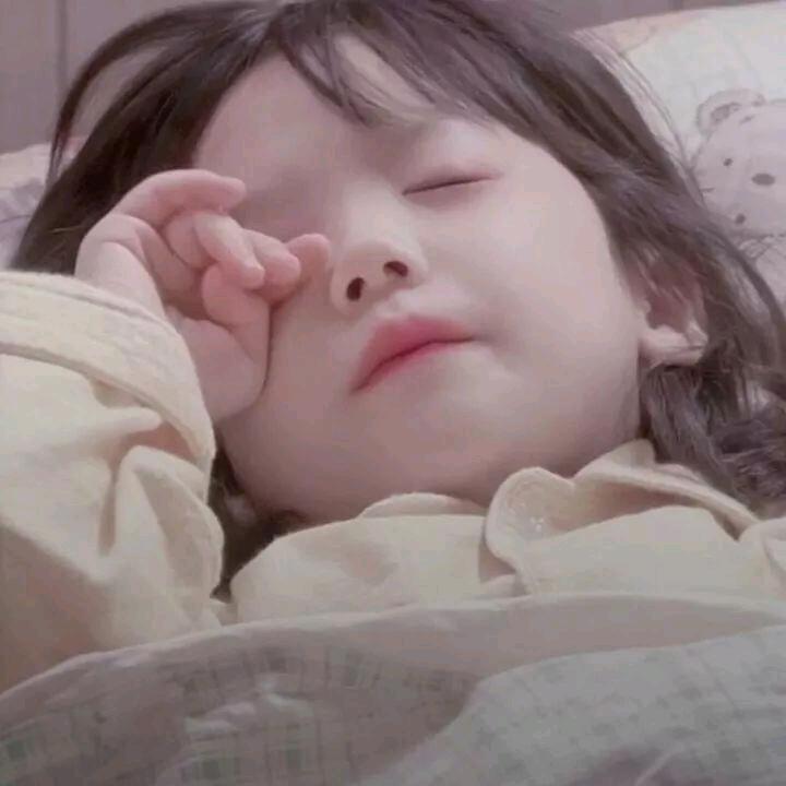 发财树节节高🌳