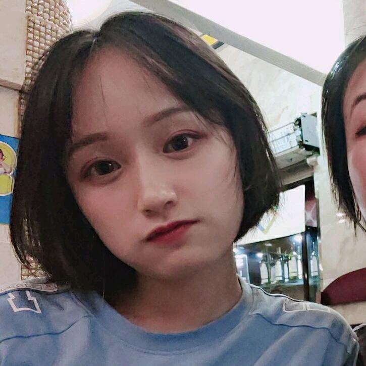 金铲铲—狐狸小姐