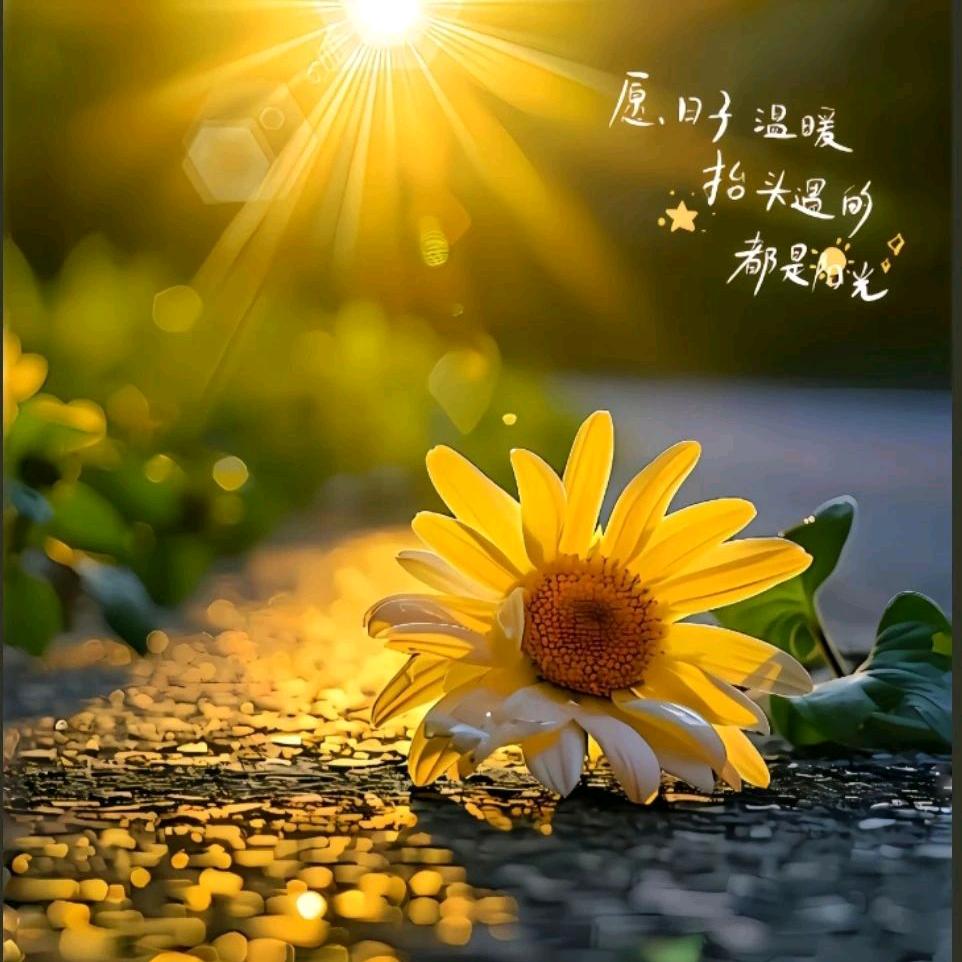 自在飞花轻似梦